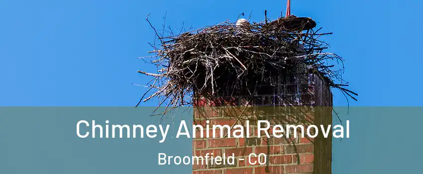  Chimney Animal Removal Broomfield - CO
