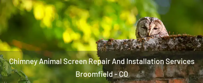  Chimney Animal Screen Repair And Installation Services Broomfield - CO