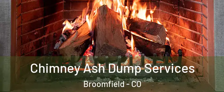  Chimney Ash Dump Services Broomfield - CO
