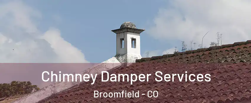  Chimney Damper Services Broomfield - CO