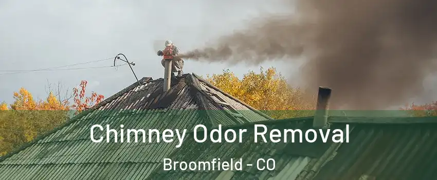  Chimney Odor Removal Broomfield - CO