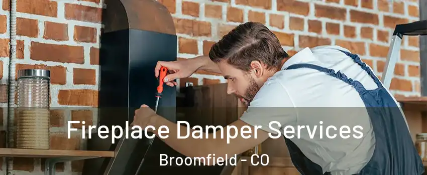  Fireplace Damper Services Broomfield - CO
