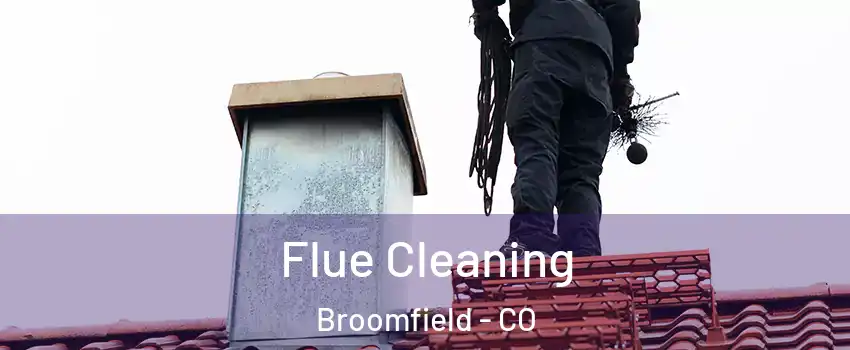  Flue Cleaning Broomfield - CO
