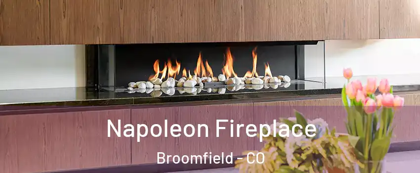  Napoleon Fireplace Broomfield - CO