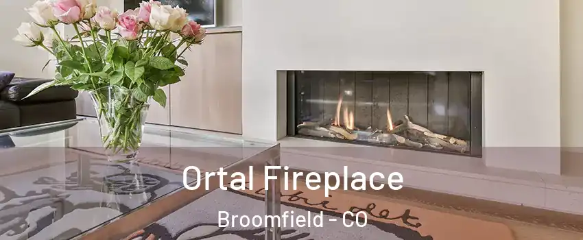  Ortal Fireplace Broomfield - CO